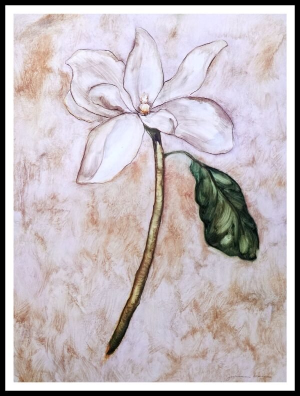 DNA MJP209 Magnolia Ii